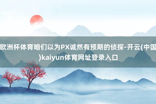 欧洲杯体育咱们以为PX诚然有预期的侦探-开云(中国)kaiyun体育网址登录入口