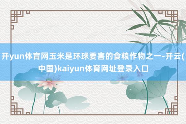 开yun体育网玉米是环球要害的食粮作物之一-开云(中国)kaiyun体育网址登录入口
