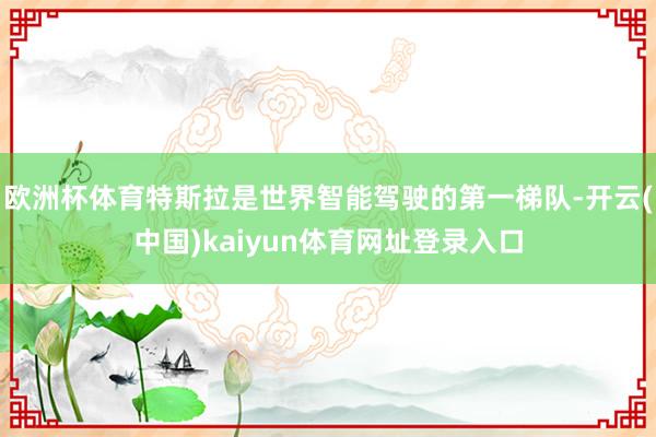 欧洲杯体育特斯拉是世界智能驾驶的第一梯队-开云(中国)kaiyun体育网址登录入口