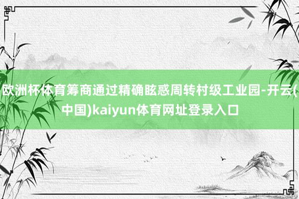 欧洲杯体育筹商通过精确眩惑周转村级工业园-开云(中国)kaiyun体育网址登录入口