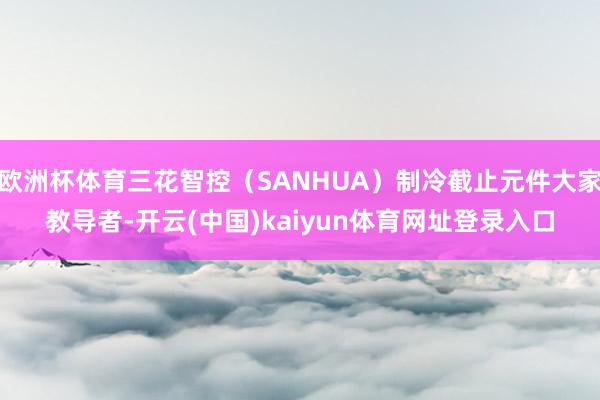 欧洲杯体育三花智控（SANHUA）制冷截止元件大家教导者-开云(中国)kaiyun体育网址登录入口