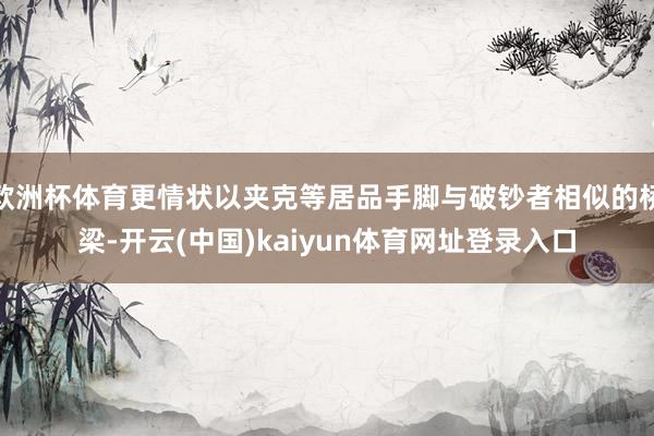 欧洲杯体育更情状以夹克等居品手脚与破钞者相似的桥梁-开云(中国)kaiyun体育网址登录入口