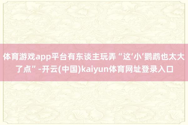体育游戏app平台有东谈主玩弄“这‘小’鹦鹉也太大了点”-开云(中国)kaiyun体育网址登录入口