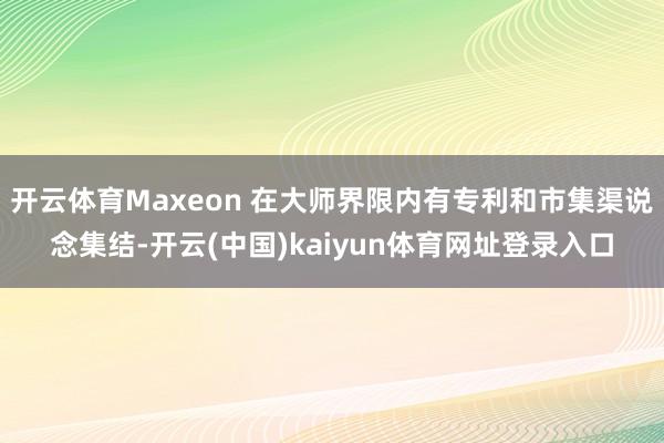 开云体育Maxeon 在大师界限内有专利和市集渠说念集结-开云(中国)kaiyun体育网址登录入口