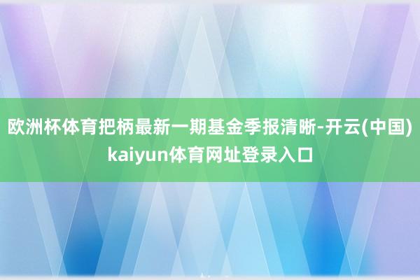 欧洲杯体育把柄最新一期基金季报清晰-开云(中国)kaiyun体育网址登录入口