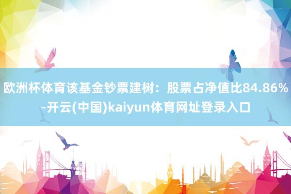 欧洲杯体育该基金钞票建树：股票占净值比84.86%-开云(中国)kaiyun体育网址登录入口